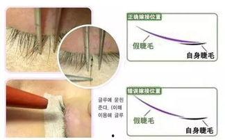 网红睫毛材质有哪些